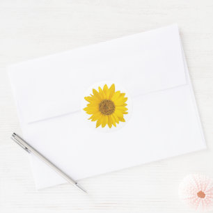 Adesivo Girassol Amarelo sobre Branco