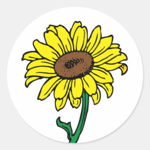 Adesivo Girassol Floral Dourado Amarelo, Flor Verde Casame