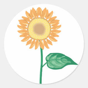 Adesivo Girassol Floral Dourado Amarelo, Flor Verde Casame