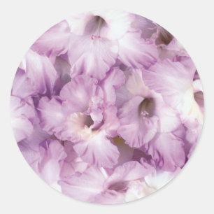 Adesivo Glads roxo toda a ocasião