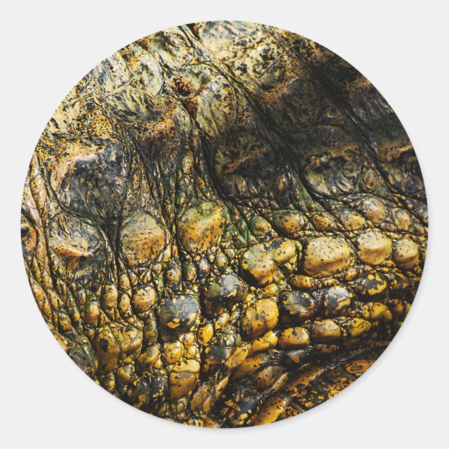 Adesivo Golden Crocodile Skin Texture Close Up (Frente)