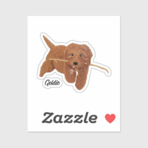Adesivo Golden Doodle 