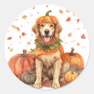 Adesivo Golden Retriever Halloween Abóbora Outono