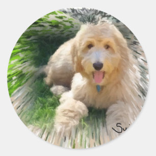 Adesivo Goldendoodle Labradoodle