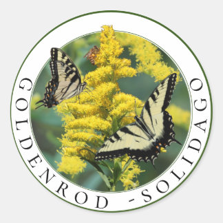Adesivo Goldenrod Solidago e Tiger Swallowtail Butterfly