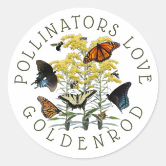 Adesivo Goldenrod Solidago Wildflower e Pollinators Clas
