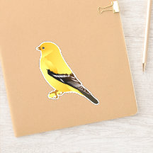 adesivo Goldfinch