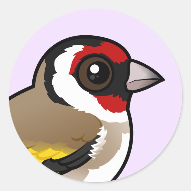 Adesivo Goldfinch Europeu (Frente)