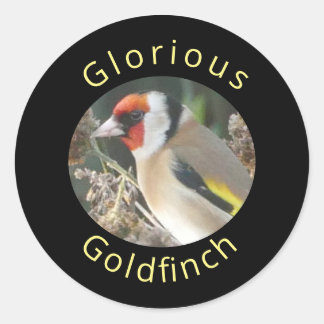 Adesivo Goldfinch Sticker