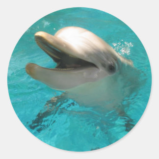 Adesivo Golfinho sorridente