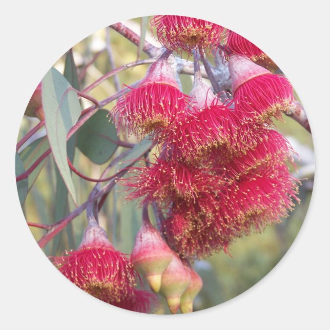 Adesivo Goma de Flor (Frente)