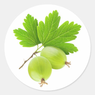 Adesivo Gooseberries