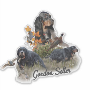 Adesivo Gordon Setter