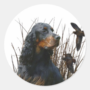 Adesivo Gordon Setter, companheiro de caça