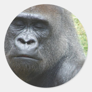Adesivo Gorilla Look Stickers