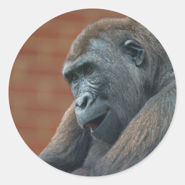 Adesivo Gorilla Shufai (Frente)