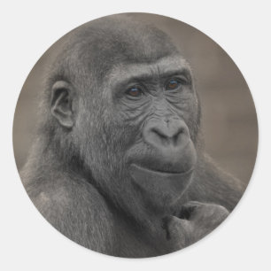 Adesivo Gorilla Shufai Retrait Tote Bag