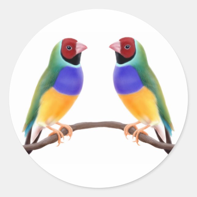 Adesivo Gouldian Finch Friends (Frente)