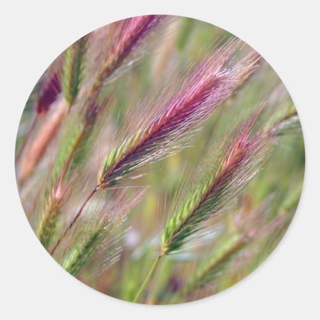 Adesivo Graceful Foxtails (Frente)