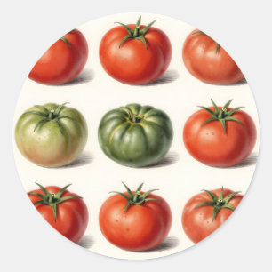 Adesivo Grade de Variedade de Tomate Antigo Botânico