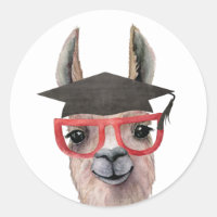 Graduação Engraçada Llama Sticker