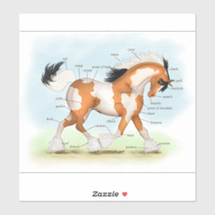 Adesivo Gráfico de Anatomia de Cavalo de Vanner de Pônea