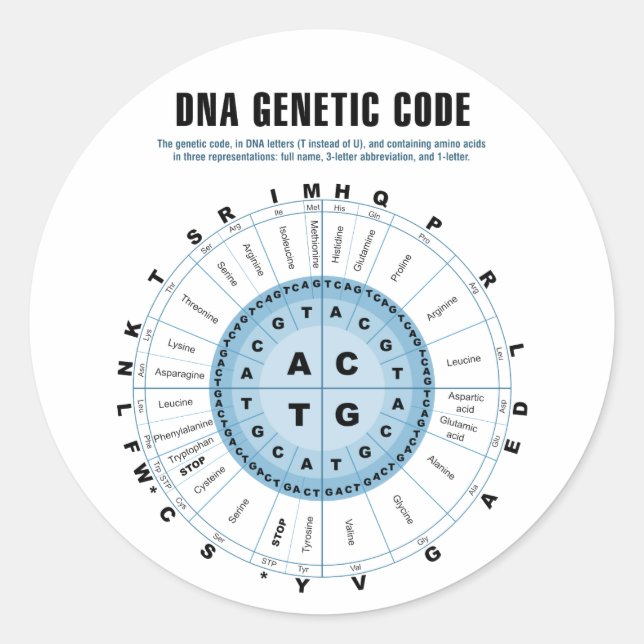 Adesivo Gráfico de Código Genético de DNA (Frente)