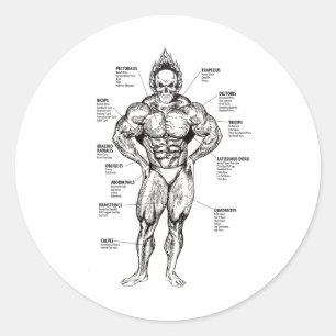 Adesivo Gráfico Muscular e Guia de Exercícios - Motivação