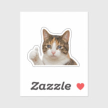 Gráficos do Meme do Gato Chorando com Polegar para