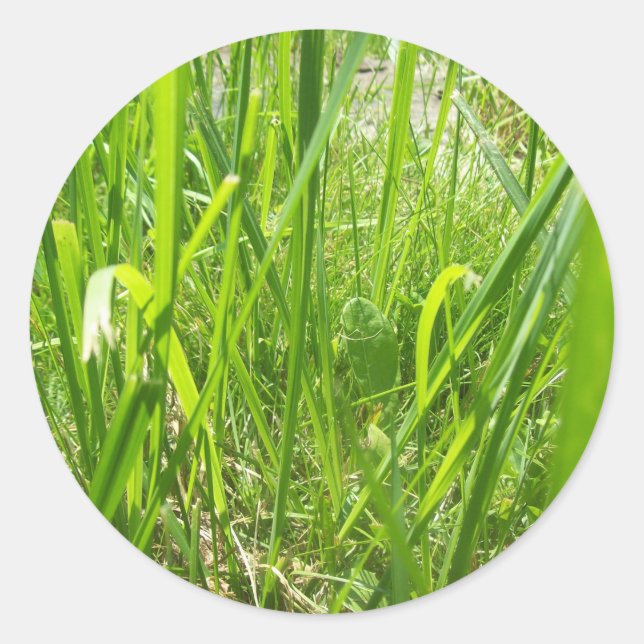 Adesivo Grama (Frente)