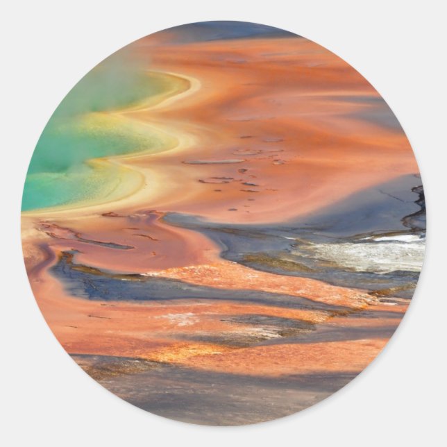 Adesivo Grand Prismatic Primavera Runoff (Frente)