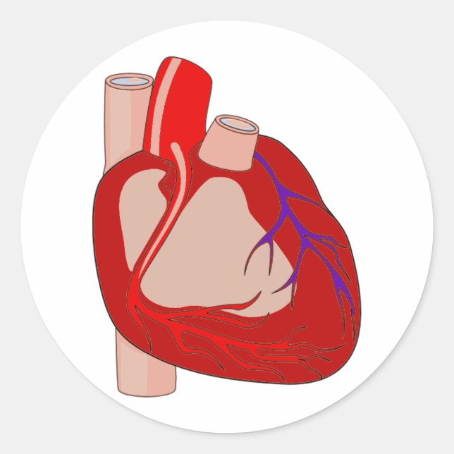 Adesivo Grande Coração (Frente)