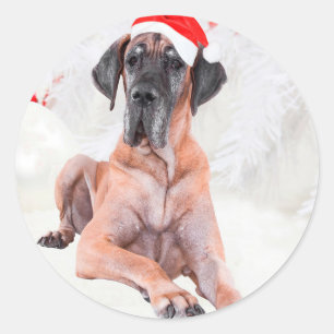Adesivo Grande Dane Cachorro Chapéu Feliz Natal