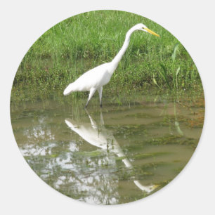 Adesivo Grande Egret branco