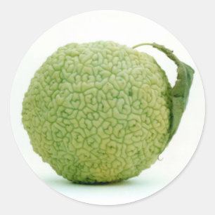 Adesivo Grande maçã verde