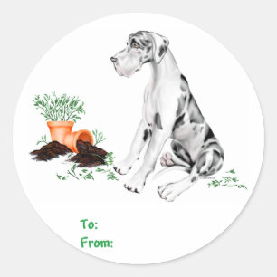 Adesivo Great Dane Naughty Pup Harlequin UC