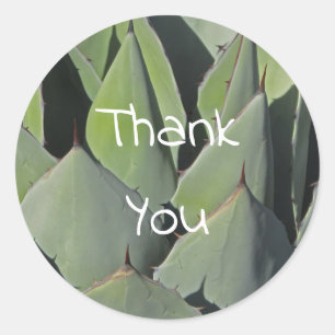 Adesivo Green Agave deixa foto botânica sudoeste