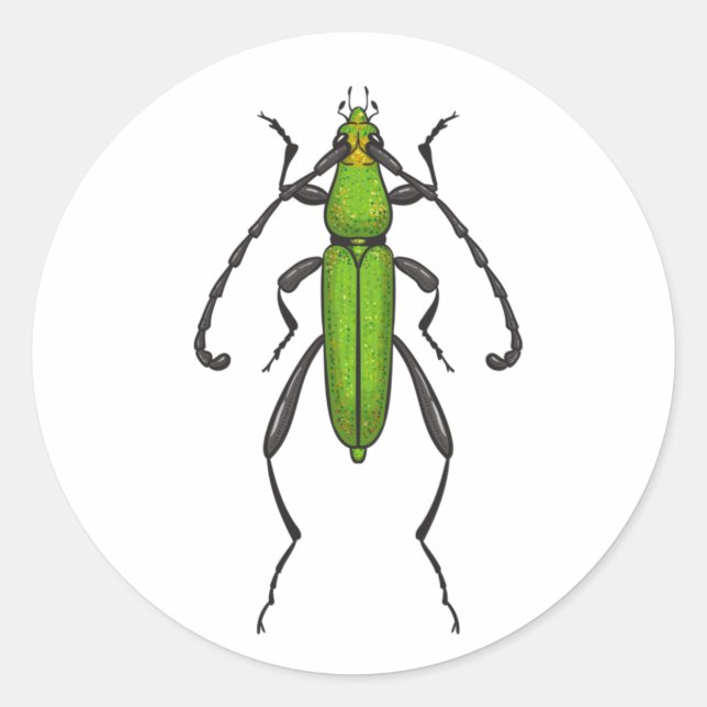 Adesivo Green beetle (Frente)