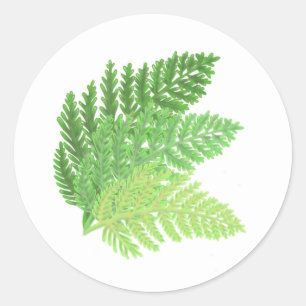 Adesivo Green Fern Trio