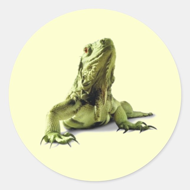 Adesivo Green Iguana Stickers (Frente)