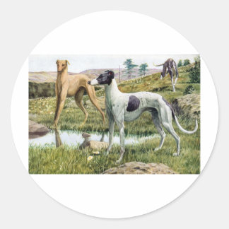 Adesivo Greyhound