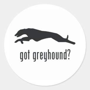 Adesivo Greyhound