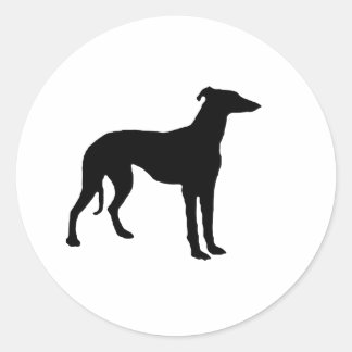Adesivo Greyhound
