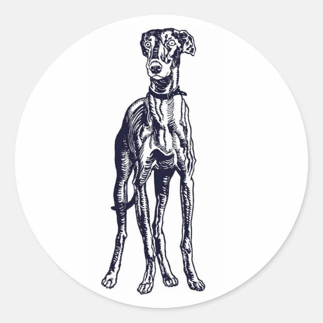 Adesivo Greyhound Breed Inglês (Frente)