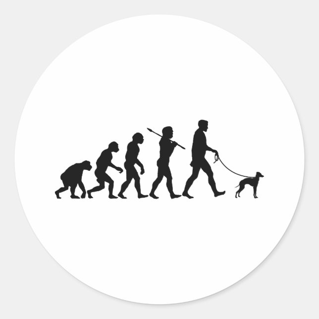 Adesivo Greyhound Italiano (Frente)