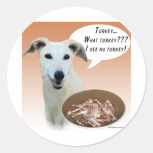 Adesivo Greyhound Turquia