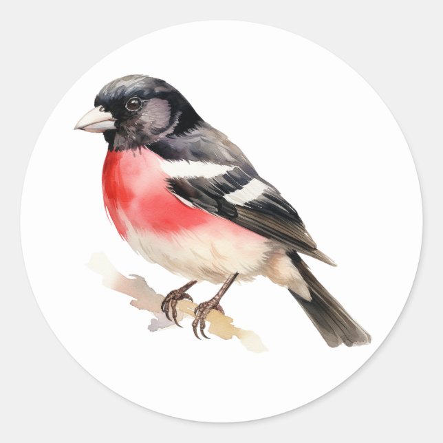 Adesivo Grosbeak mestiço de pássaro (Frente)