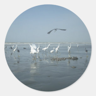 Adesivo Gruas brancas e copas pretas: um contraste na natu