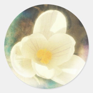 Adesivo Grunge da flor do açafrão