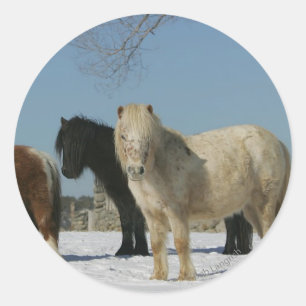 Adesivo Grupo de cavalos diminutos na neve